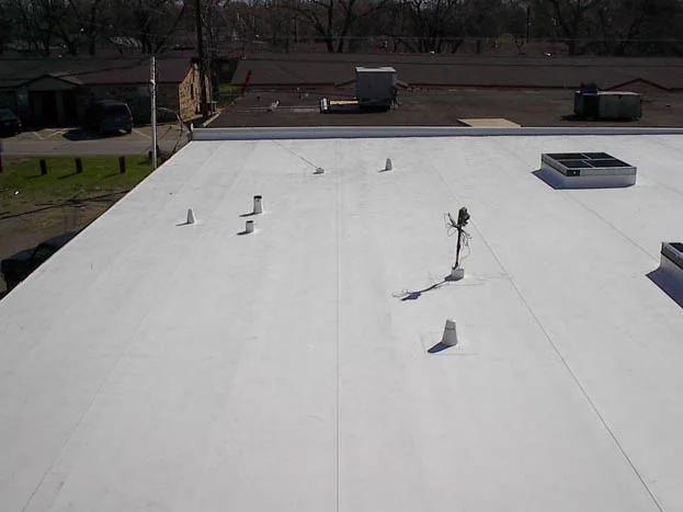 IB System Elastomeric Membrane