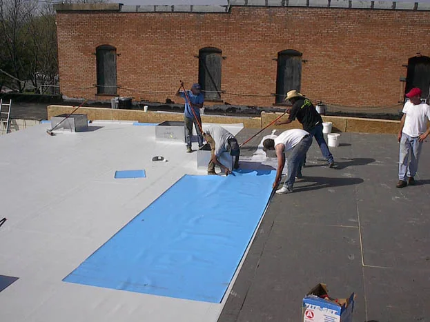 IB System Elastomeric Membrane